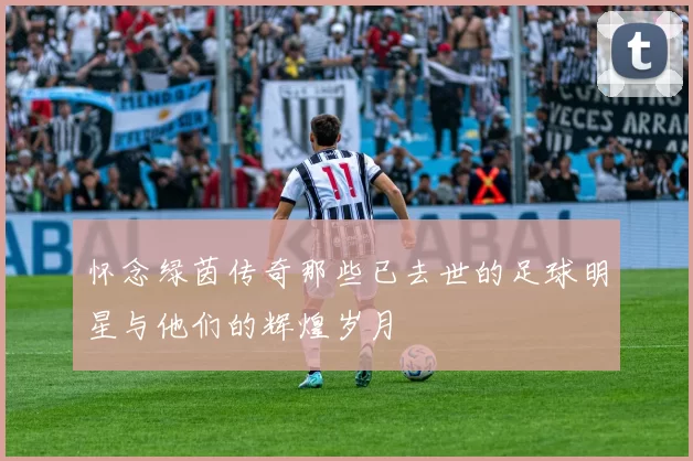 怀念绿茵传奇那些已去世的足球明星与他们的辉煌岁月