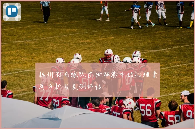 杭州羽毛球队在世锦赛中的心理素质分析与表现评估