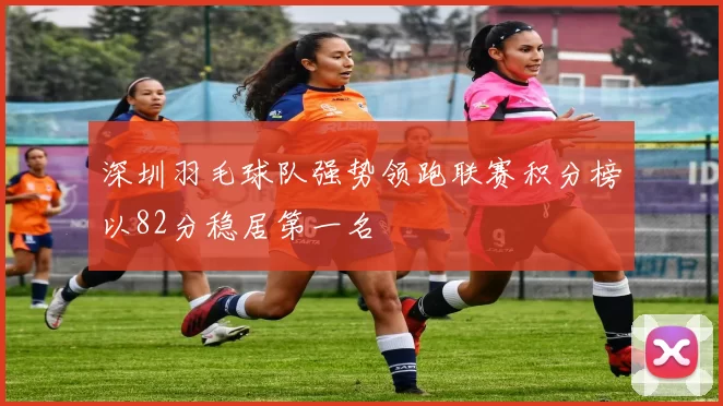 深圳羽毛球队强势领跑联赛积分榜以82分稳居第一名