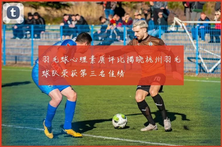 羽毛球心理素质评比揭晓杭州羽毛球队荣获第三名佳绩