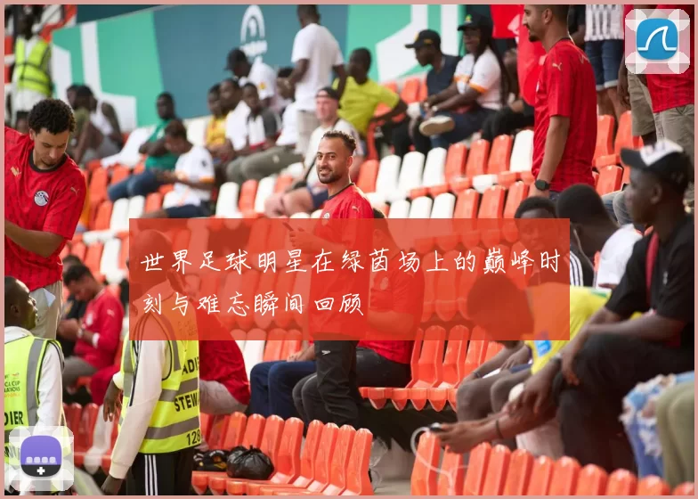 世界足球明星在绿茵场上的巅峰时刻与难忘瞬间回顾