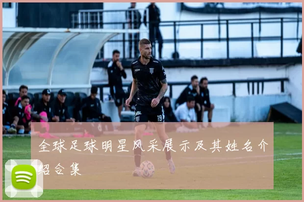 全球足球明星风采展示及其姓名介绍合集