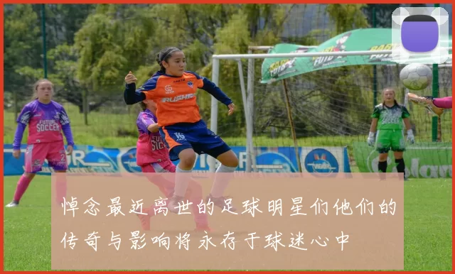悼念最近离世的足球明星们他们的传奇与影响将永存于球迷心中