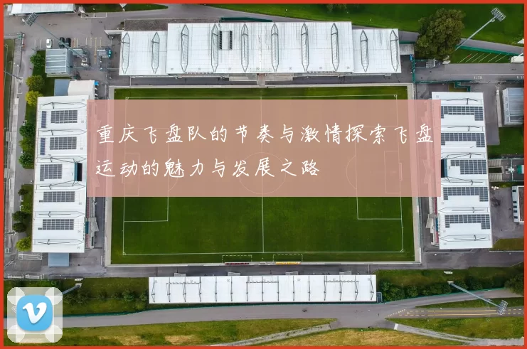 重庆飞盘队的节奏与激情探索飞盘运动的魅力与发展之路