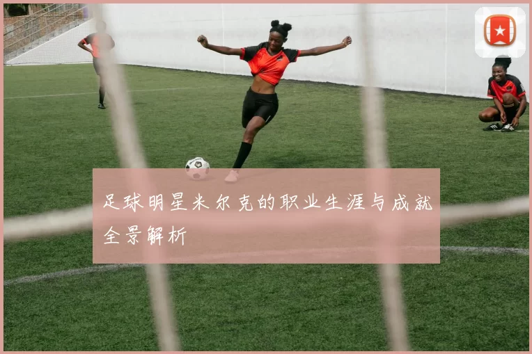 足球明星米尔克的职业生涯与成就全景解析