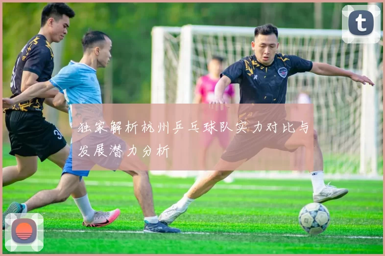 独家解析杭州乒乓球队实力对比与发展潜力分析