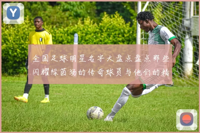 全国足球明星名字大盘点盘点那些闪耀绿茵场的传奇球员与他们的精彩瞬间
