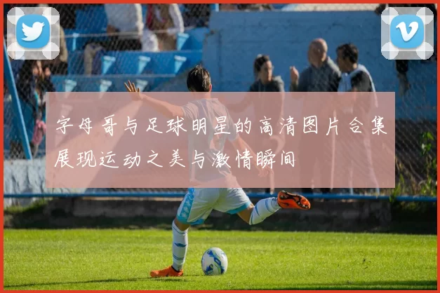 字母哥与足球明星的高清图片合集展现运动之美与激情瞬间