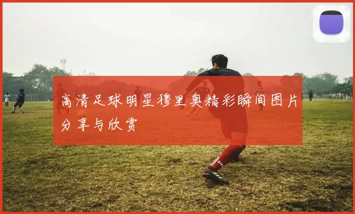 高清足球明星穆里奥精彩瞬间图片分享与欣赏