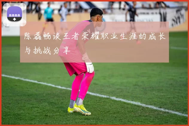 陈磊畅谈王者荣耀职业生涯的成长与挑战分享