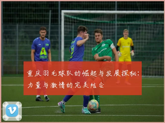 重庆羽毛球队的崛起与发展探秘：力量与激情的完美结合