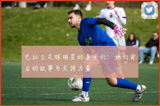 巴拉圭足球明星的妻子们：她们背后的故事与支持力量