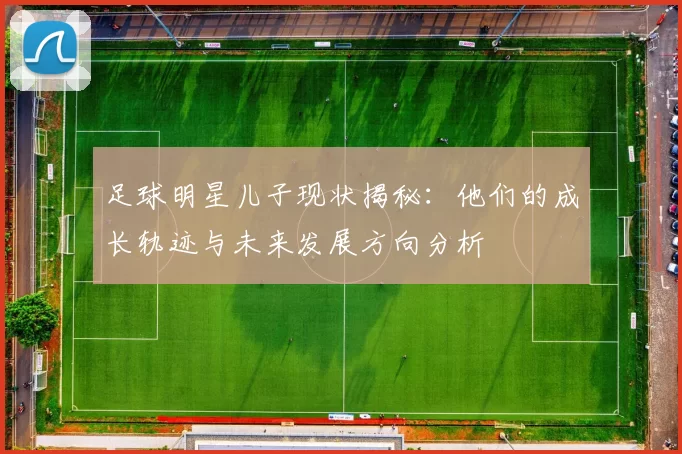 足球明星儿子现状揭秘：他们的成长轨迹与未来发展方向分析