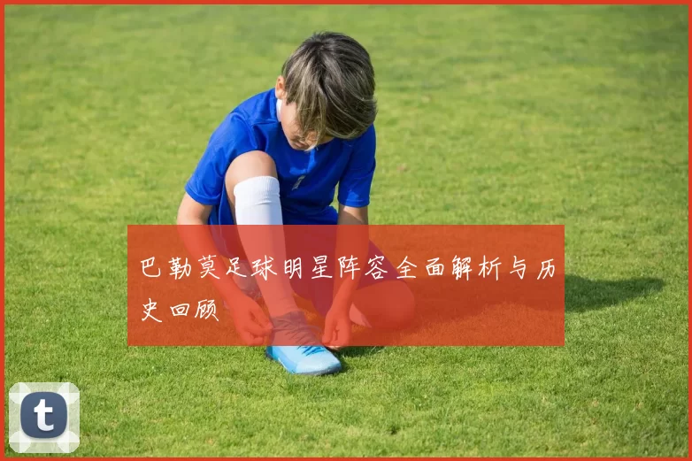 巴勒莫足球明星阵容全面解析与历史回顾