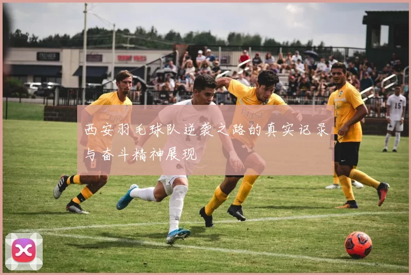 西安羽毛球队逆袭之路的真实记录与奋斗精神展现