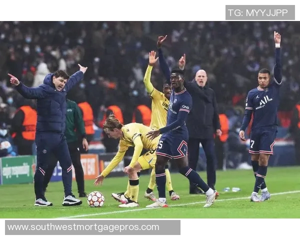 从球场到人生巅峰：探索体育明星背后的奋斗与荣耀