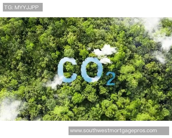 全球气候变化加剧 世界各国加强应对措施推动绿色转型进程 全球气候变化加剧 世界各国加强应对措施推动绿色转型进程