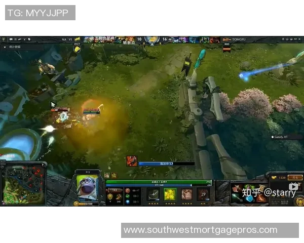 DOTA2精彩解析：深入探讨EDG战队的默契配合与战术策略