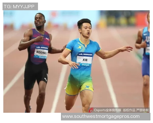 上海排球队的崛起之路：钻石联赛背后的奋斗与荣耀