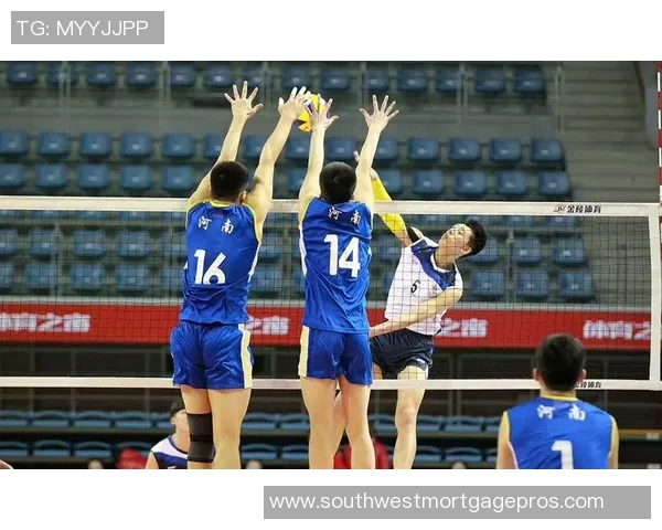 南京排球队实力飙升再创新高引发全国关注与期待