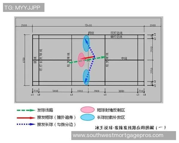 深圳羽毛球队的节奏分析与战术调整对比赛成绩的影响探讨